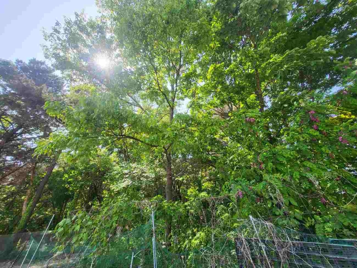 제시 목록 부동산