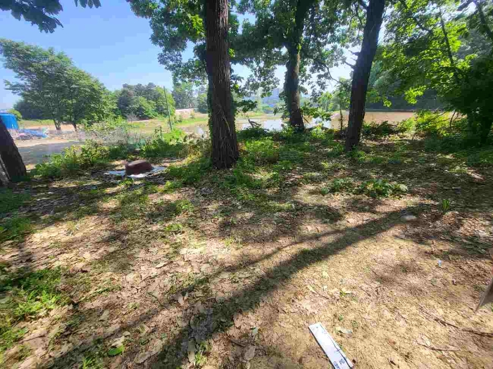 제시 목록 부동산