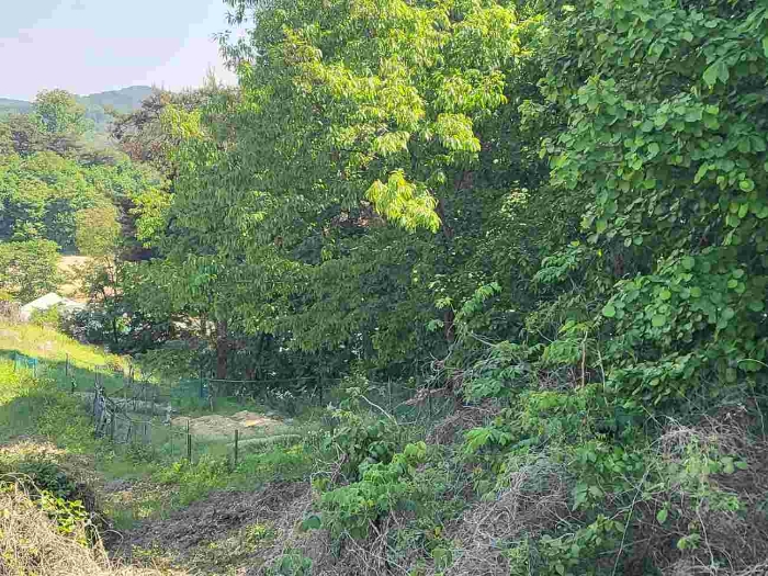 제시 목록 부동산