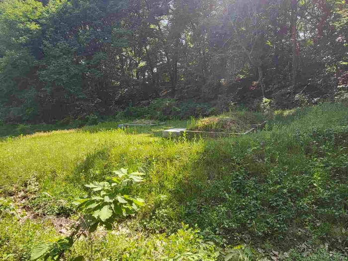 경계 인근 타 토지 분묘