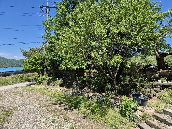 일련번호 1) 전경