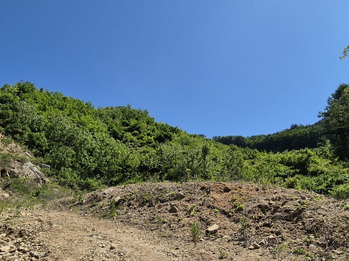 일련번호 5) 전경