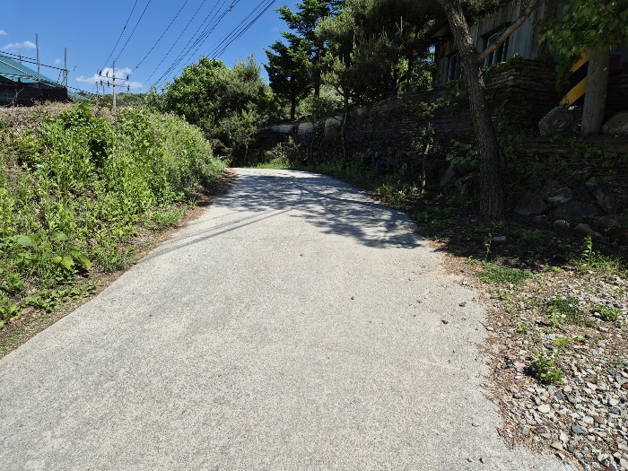 본건 토지 북측 도로
