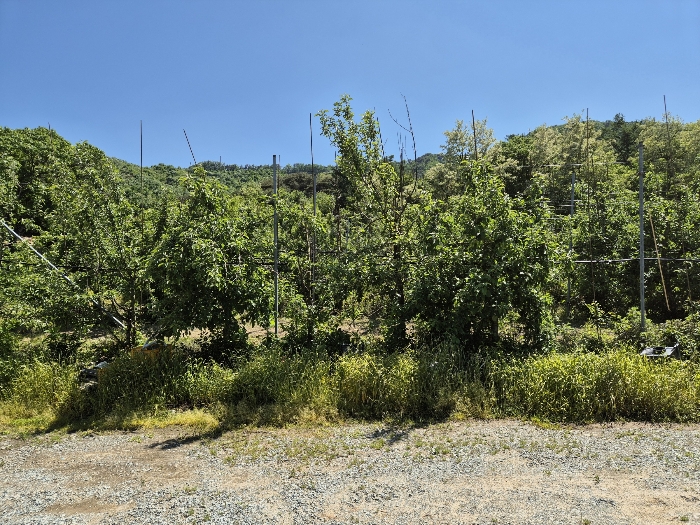 일련번호 2) 전경