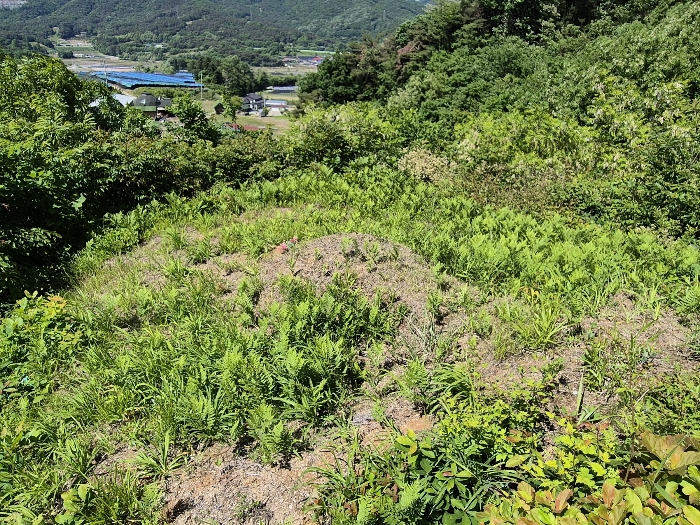 일련번호 5) 지상 분묘