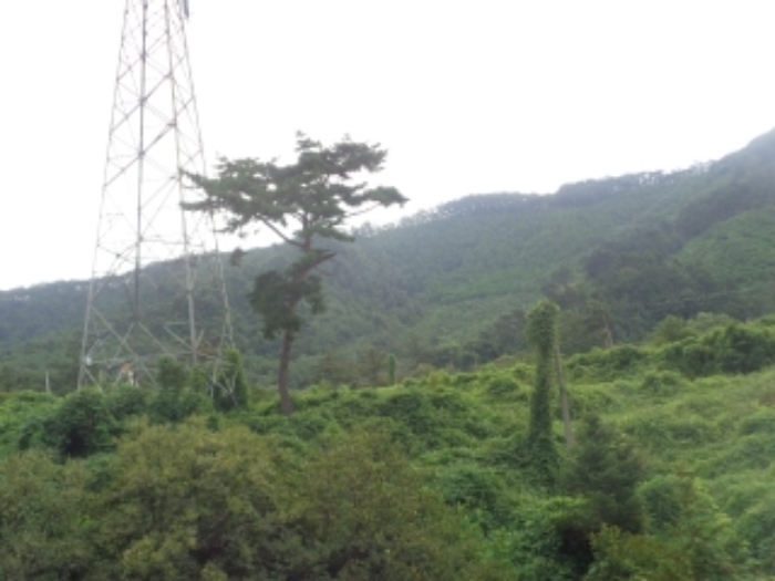 본건1~ 3 및 송전탑