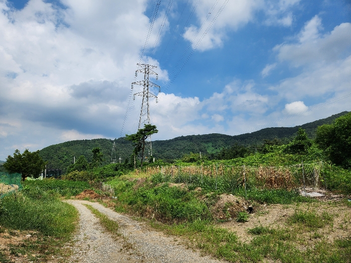 본건 전경(남서측에서 촬영)