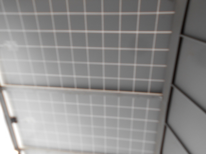 제시외 태양광시