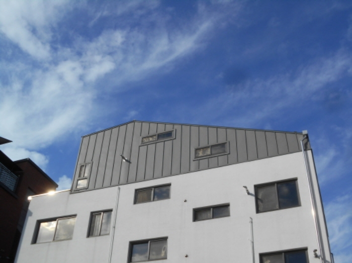 옥상 제시외 다