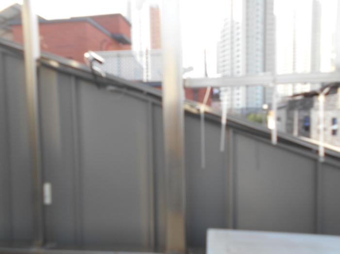 옥상 제시외 구