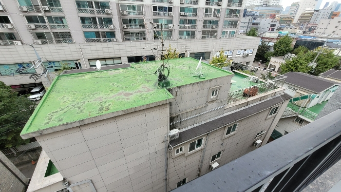 옥탑 및 제시외