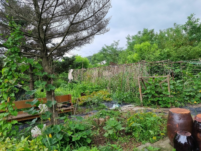 일련번호6 내부