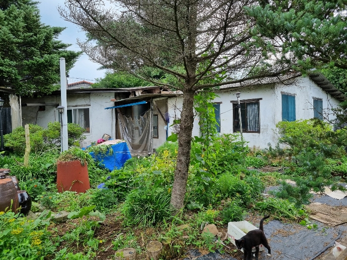 제시외 ㉣(남서