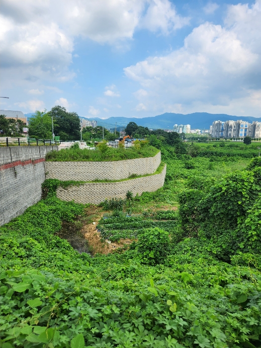 일련번호(1) 토지 전경
