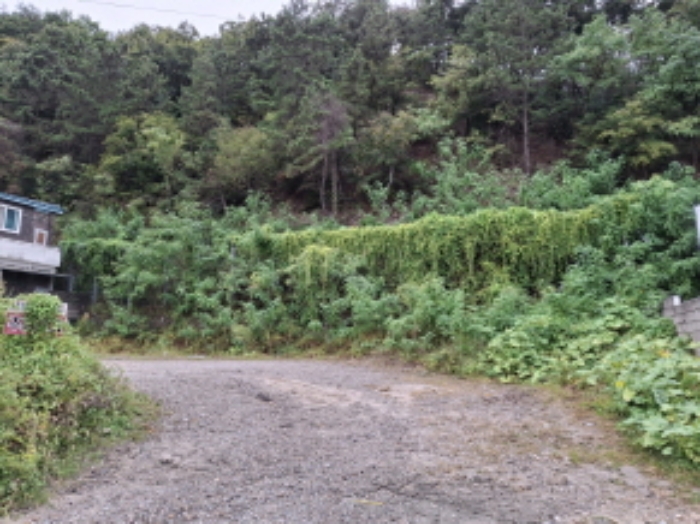 서쪽 경계 모습