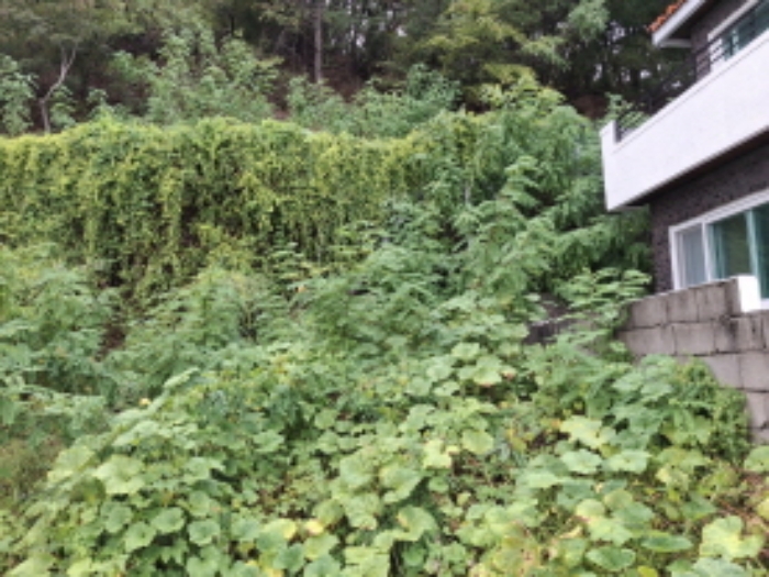 북쪽 모서리 부분