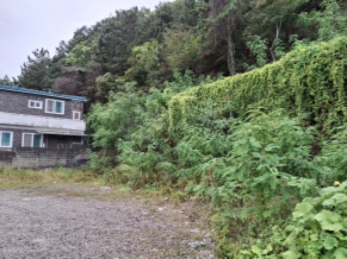 북동쪽에서 촬영한 모습