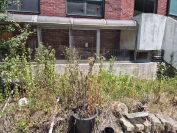 건물 측면 전경