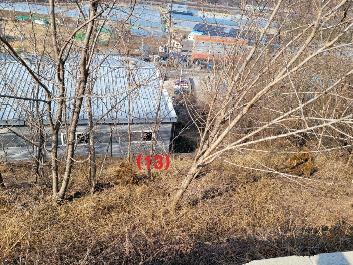 기호(13) 토지 전경
(남측에서 촬영)