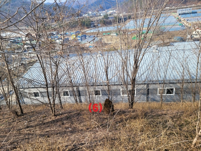 기호(6) 토지 전경
(남측 주변에서 촬영)