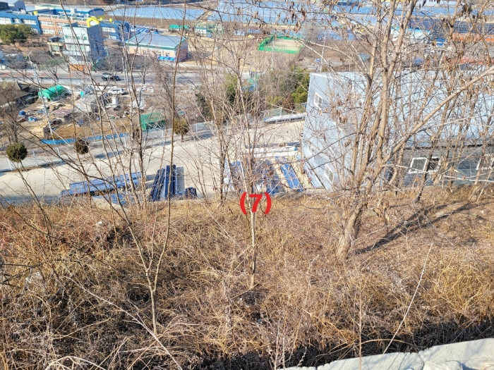 기호(7) 토지 전경
(남측 주변에서 촬영)