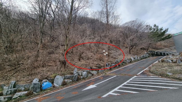 일련번호 4 토지(임야)