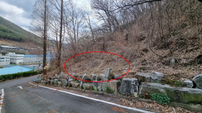 일련번호 4 토지(임야)