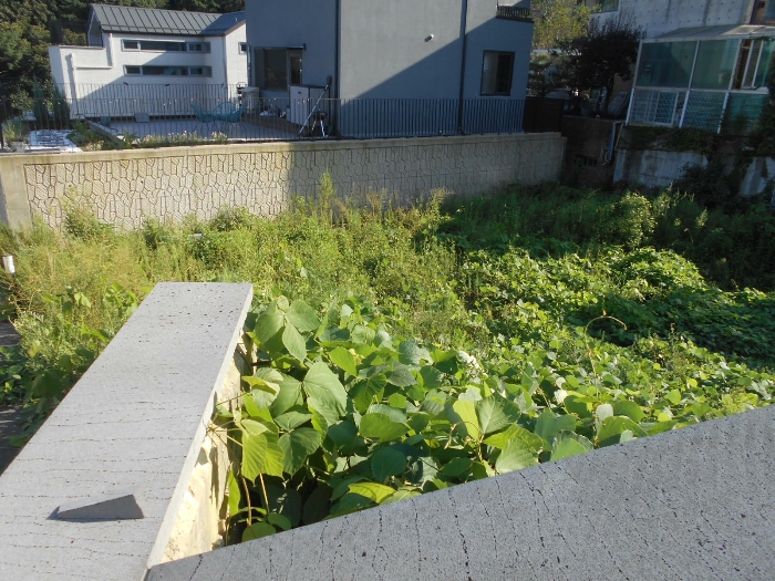 경기도 용인시 수지구 신봉동 745-11