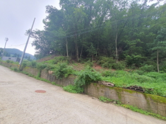 현장사진(토지 전경)