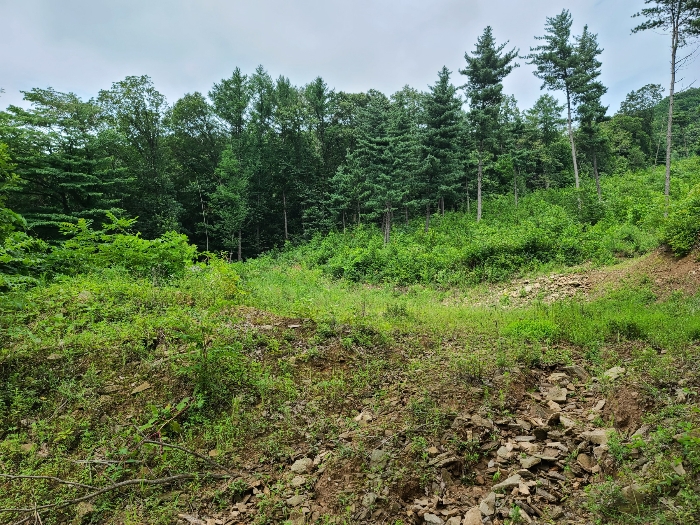 본건전경1_기호(1)