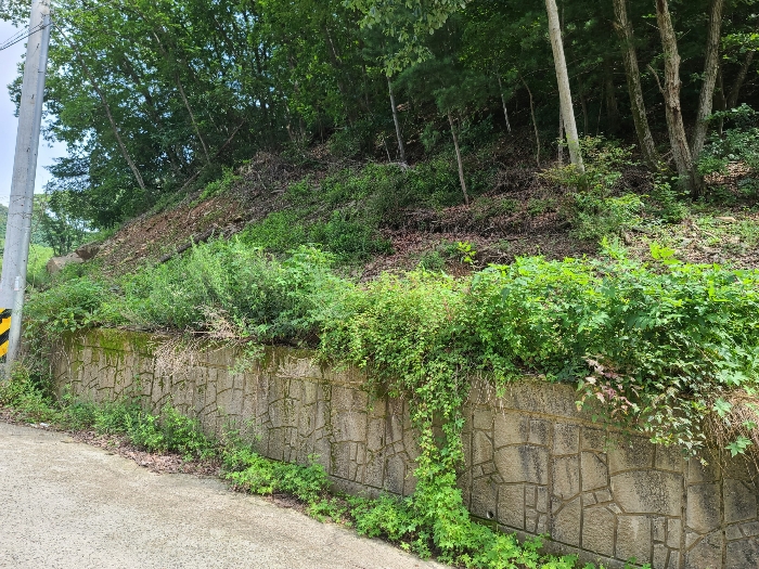 본건전경3_기호(3)