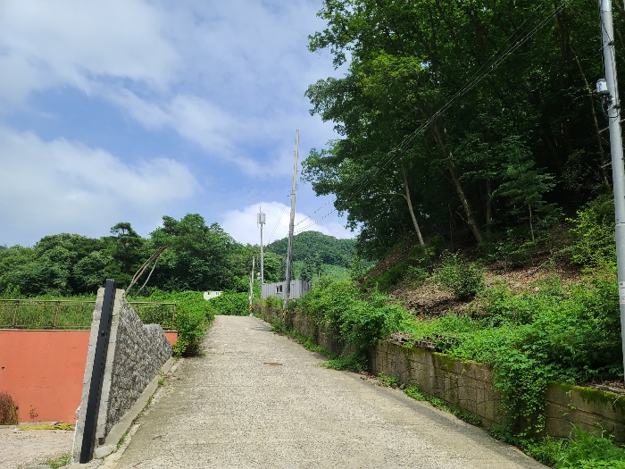 본건전경5_기호(5)