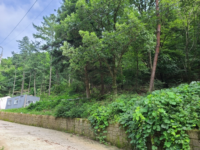 본건전경7_기호(7)