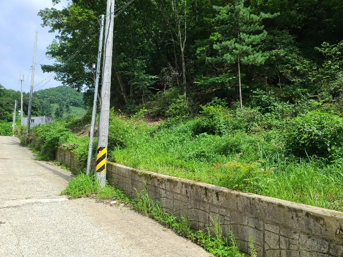 본건전경4_기호(4)