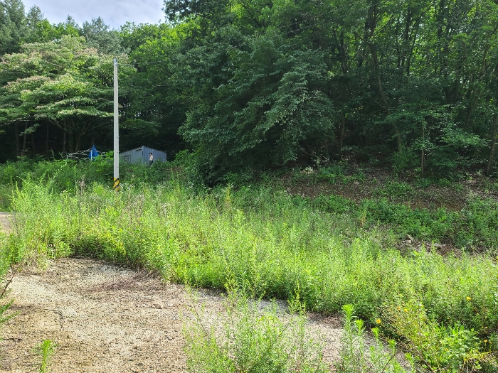 본건전경6_기호(6)