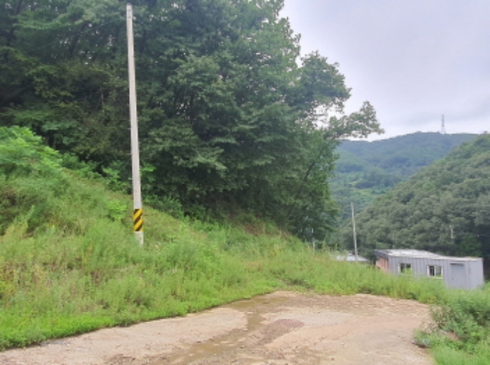 현장사진(토지 전경)