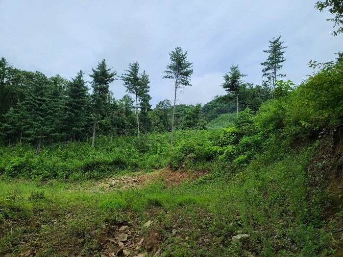 본건전경8_기호(7)