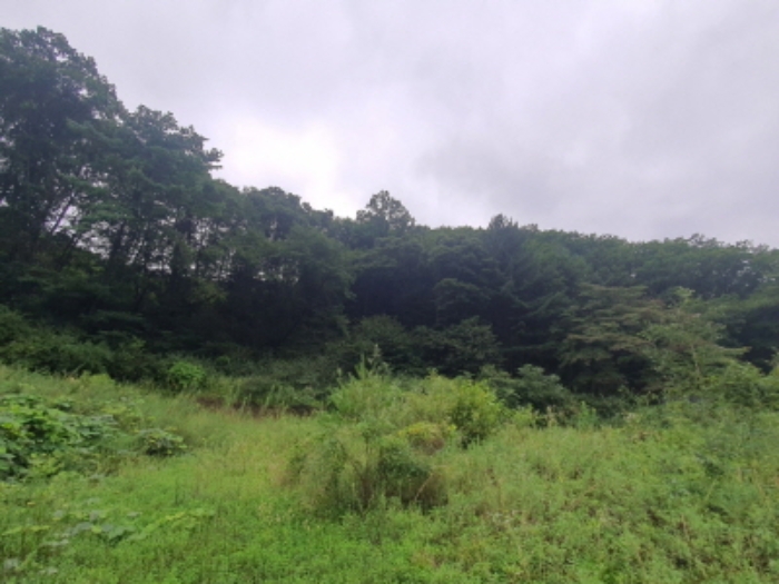 현장사진(열미리 산50 토지주변 전경)