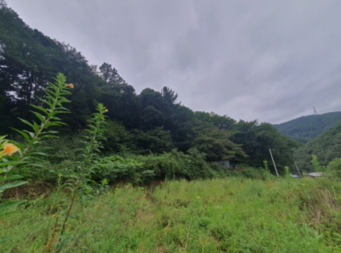 현장사진(열미리 산50 토지주변 전경)