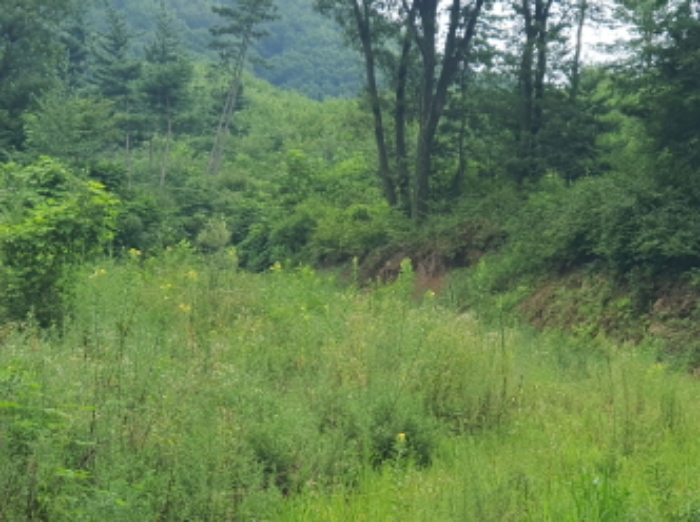 현장사진(열미리 산50, 74-5 토지주변 전경)