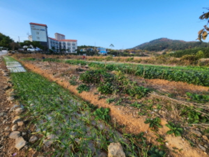 부동산표시 제3호, 제6호