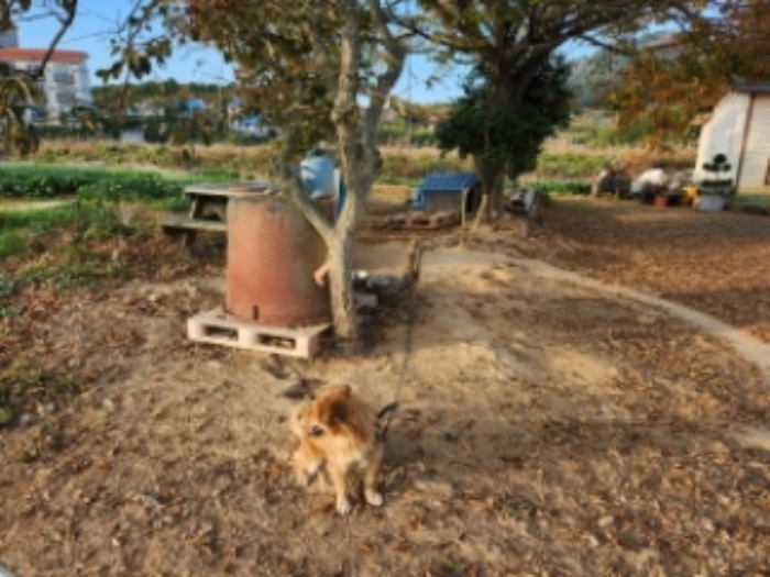 부동산표시 제4호, 제7호