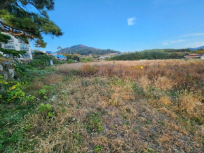 부동산표시 제1호, 제2호, 제5호