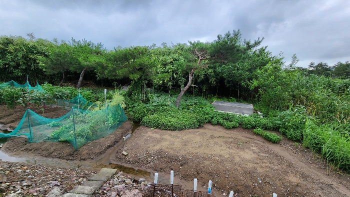 본건 토지 기호(1)