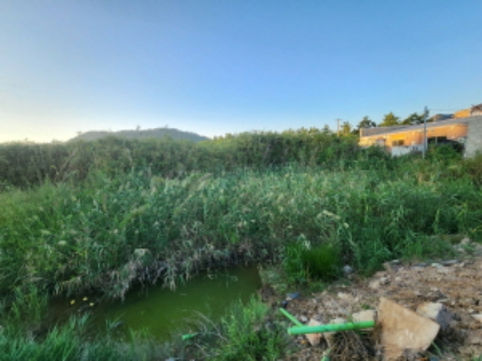 부동산표시 제3호, 제6호