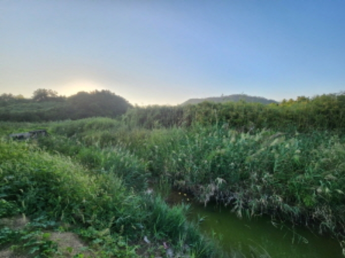 부동산표시 제3호, 제4호, 제6호