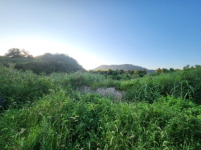 부동산표시 제2호, 제4호