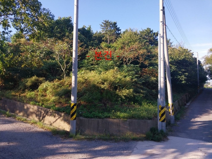 본 건 전 경
(기호 1)