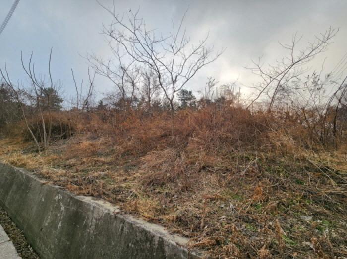 부동산표시 제1호