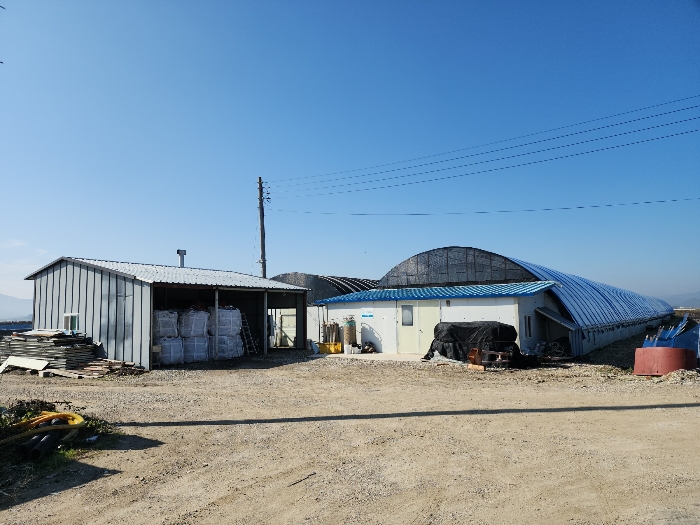 제시외 건물 ㉠,㉡